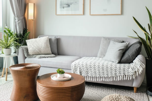 Sofa, tables, and plants, Decluttering and Organizing Service